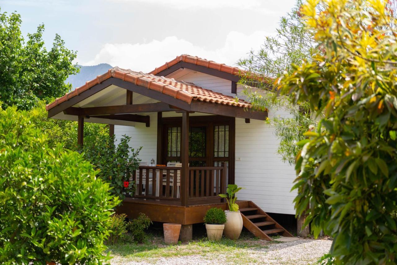 Kimera - Akdeniz Bahcesi Apart Hotel Çıralı Eksteriør billede