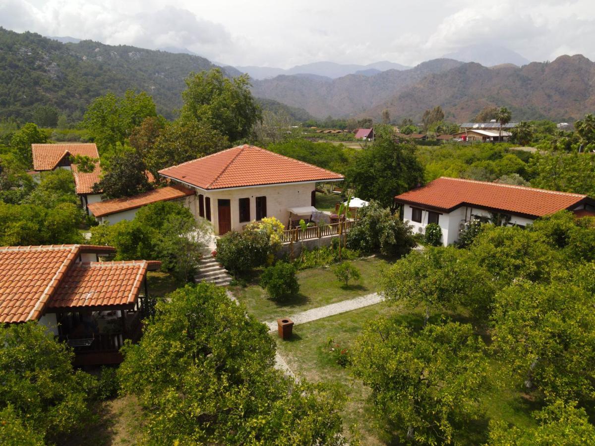 Kimera - Akdeniz Bahcesi Apart Hotel Çıralı Eksteriør billede