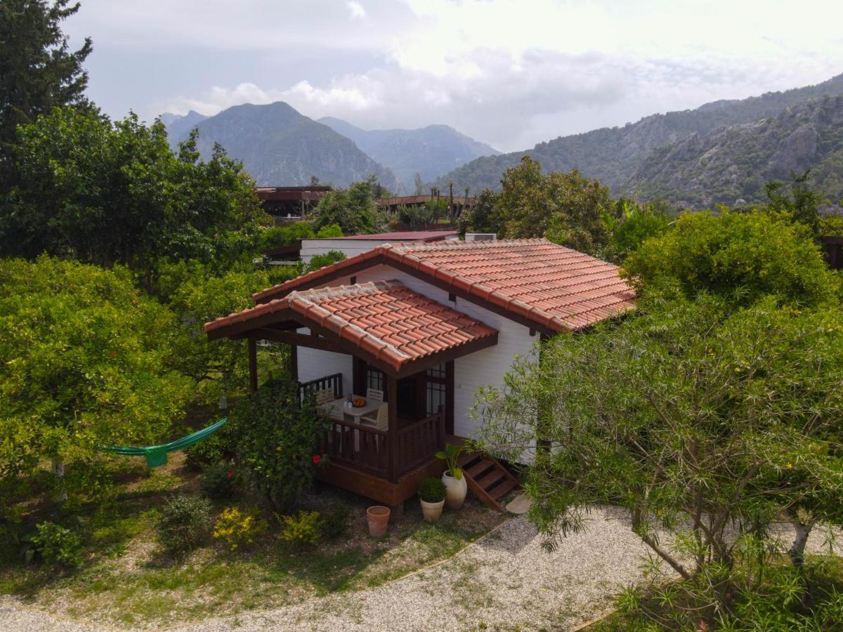 Kimera - Akdeniz Bahcesi Apart Hotel Çıralı Eksteriør billede