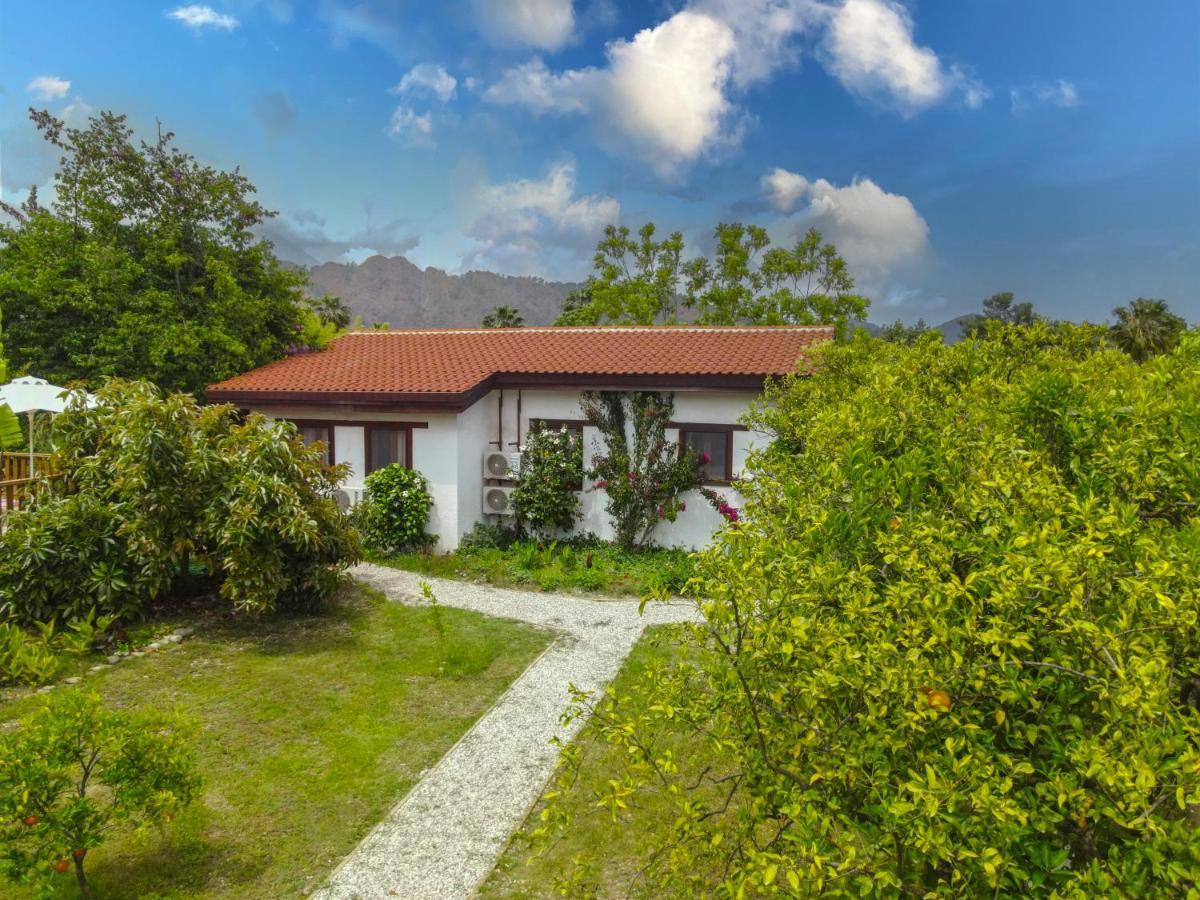 Kimera - Akdeniz Bahcesi Apart Hotel Çıralı Eksteriør billede