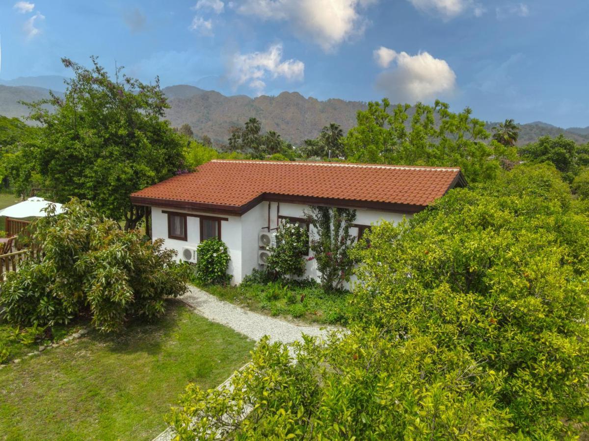 Kimera - Akdeniz Bahcesi Apart Hotel Çıralı Eksteriør billede
