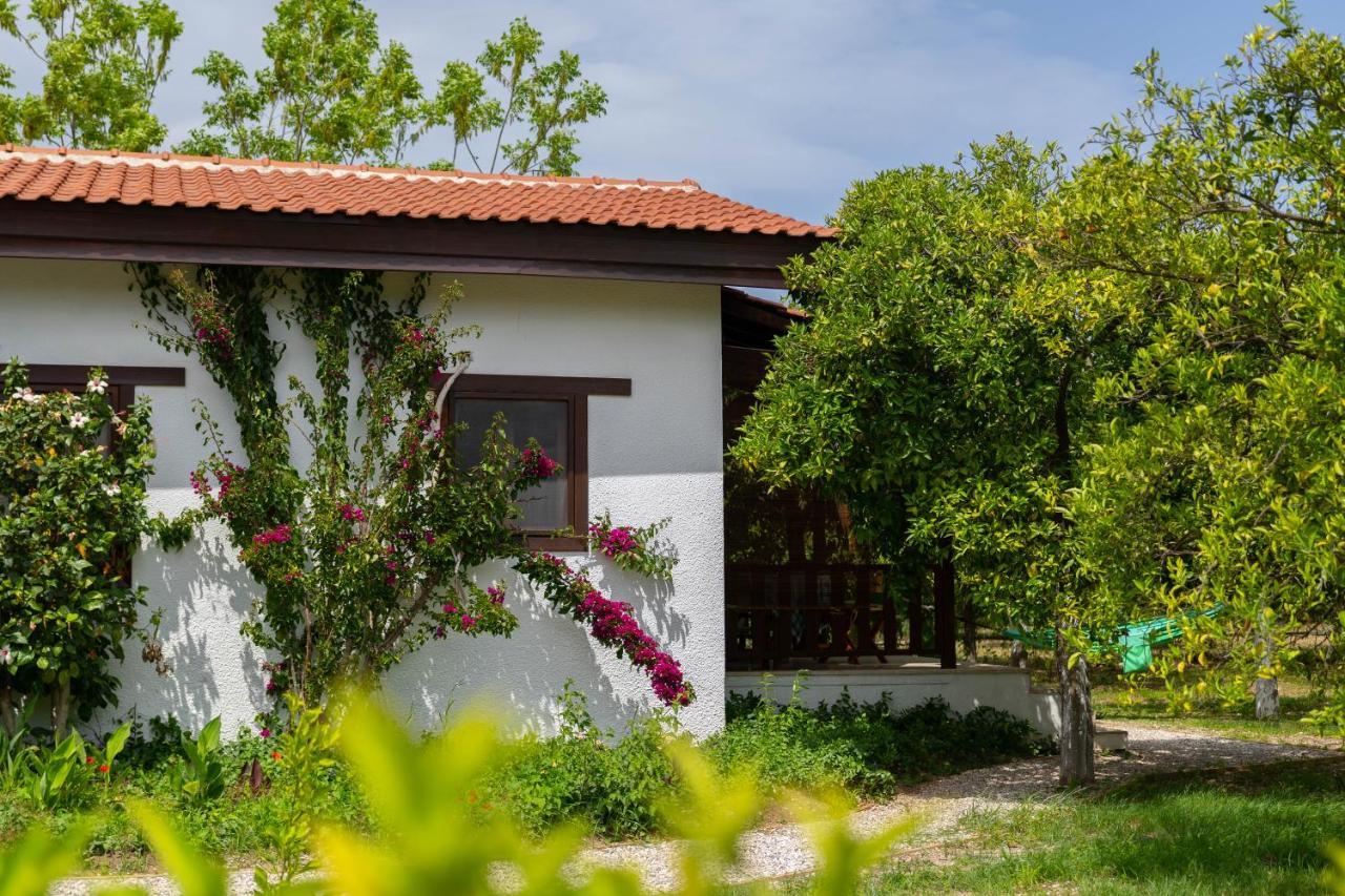 Kimera - Akdeniz Bahcesi Apart Hotel Çıralı Eksteriør billede